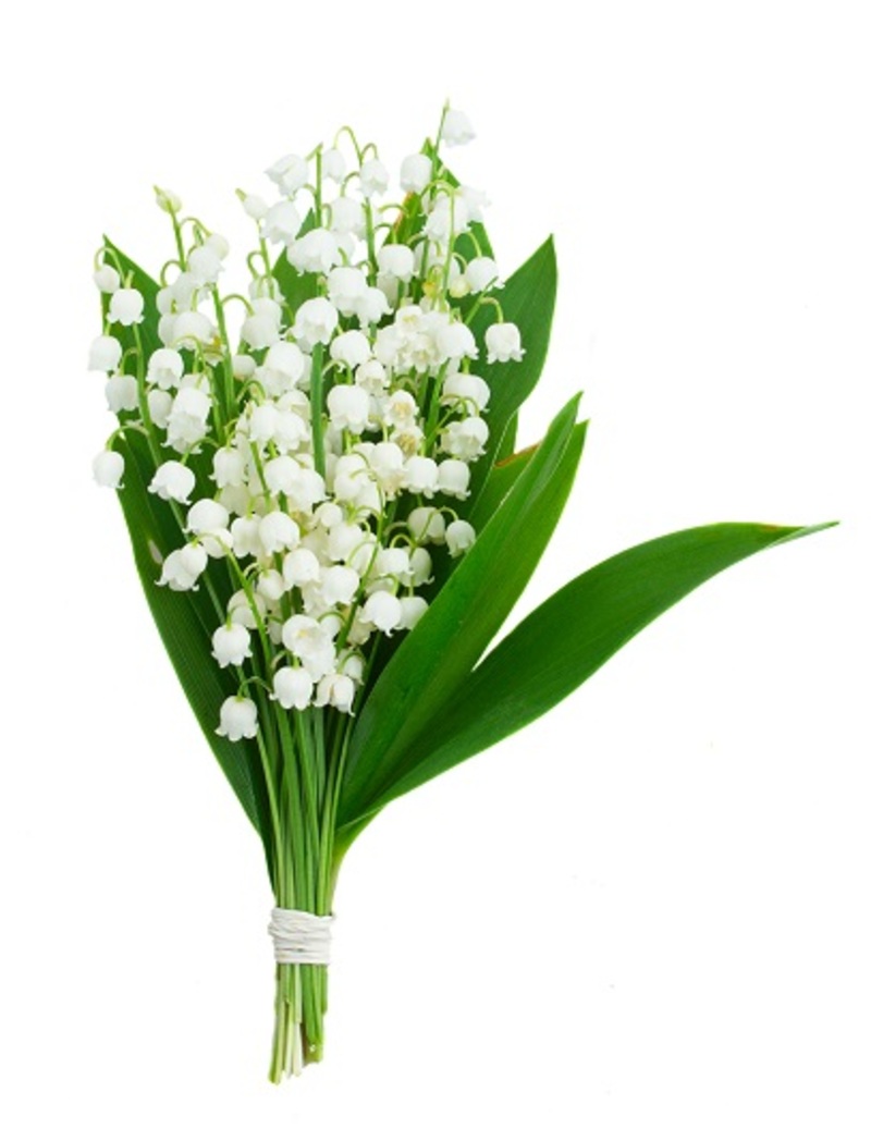 flower display bouquets